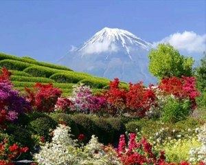Relax - The Beauty of Nature (HD)