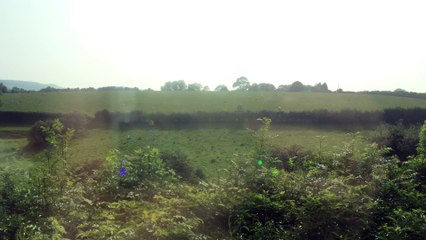 Z57 Complaints with the Sheep in England