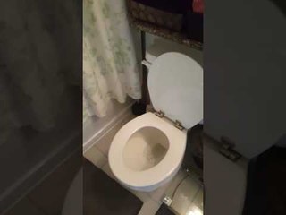 Terrifying Toilet Sounds Like It Is Crying