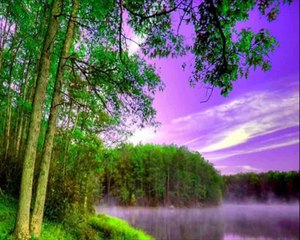 DİNLENDİRİCİ _FON MÜZİĞİ