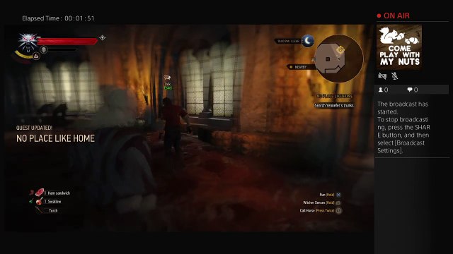 Drunk Shenanigans in Witcher 3 (4)