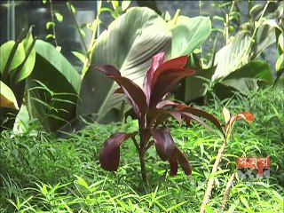 কক্সবাজারে পর্যটন বর্ষের দৃশ্যমান পদক্ষেপ নেই সরকারের