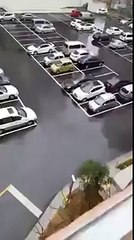 Husband Forgot His Lunch On The Counter So Wife Throws It Out The Window