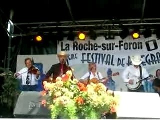 Bluegrass Family: An Overview