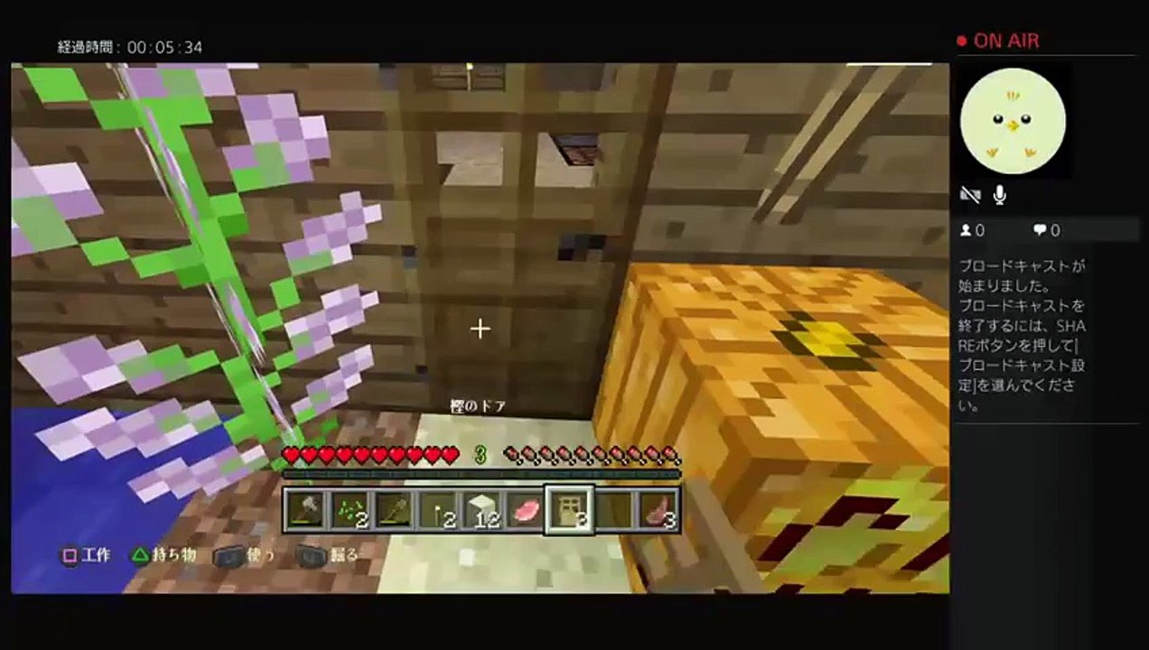 マイクラ声あり (5)