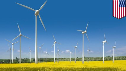 อเมซอนสร้างฟาร์มลม ผลิตพลังโดยกังหันยักษ์ 100 ตัว