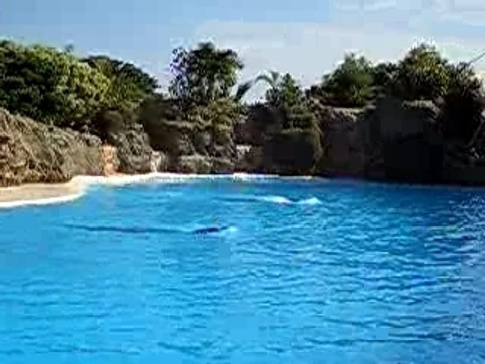 Teneriffa2 100