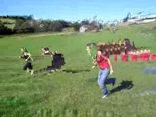 Courir apres les vaches