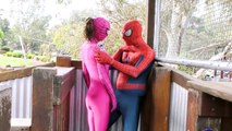 Spiderman Vs Spidergirl - Superhero Battle! w_ Hulk and Joker Superhero  4