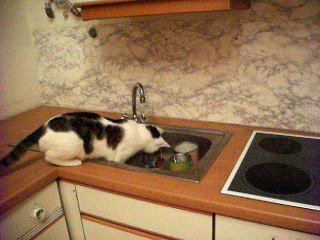 Vinzent am 27.09.2016 Wasserspiele