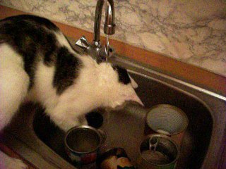 Vinzent am 27.09.2016 Wasserspiele