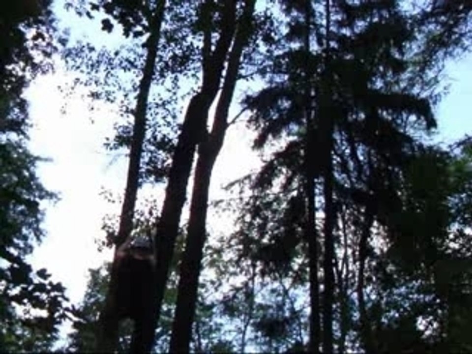 Lesniadrenalin
