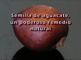 The avocado seed a powerful natural remedy