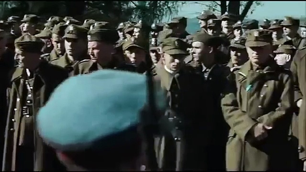 El Bosque de la Masacre Pelicula completa en español