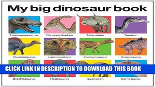 New Book My Big Dinosaur Book