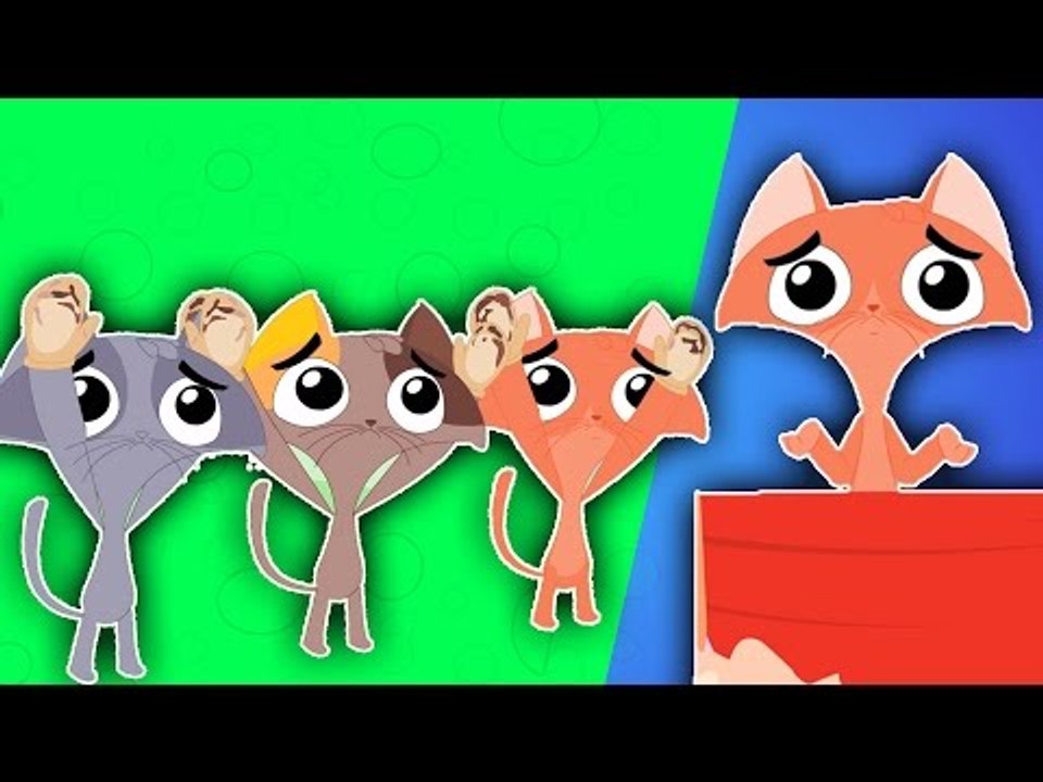 trois petits chatons | Nursery Rhymes | Song for Children | compilation