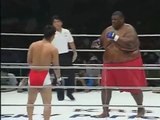 Due lottatori con una differenza di peso enorme salgono sul ring. Ecco cosa succede: - VIDEO