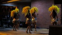Amazing Salsa/Samba dancers