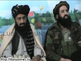 আফগানিস্তানে পাকিস্তানী তালেবানের শীর্ষ কমান্ডার নিহত