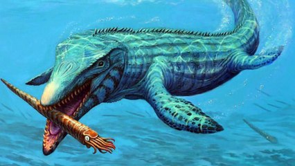 Top 10 Terrifying Prehistoric Sea Monsters