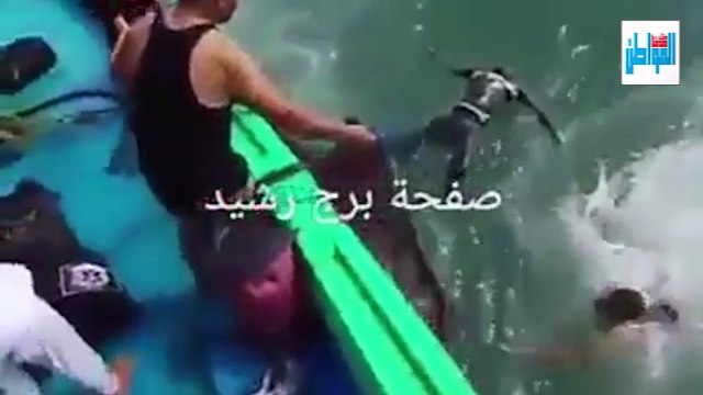 إنقاذ ضحايا مركب الموت بواسطة صيادين رشيد