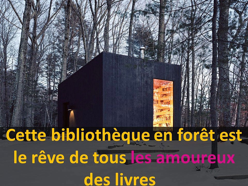 Cette bibliothèque en forêt est le rêve de tous les amoureux des livres