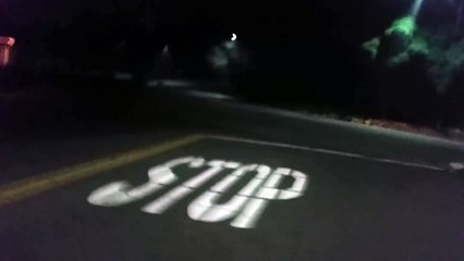 Il sauve un putois sur la route la nuit sans peur de l'odeur !