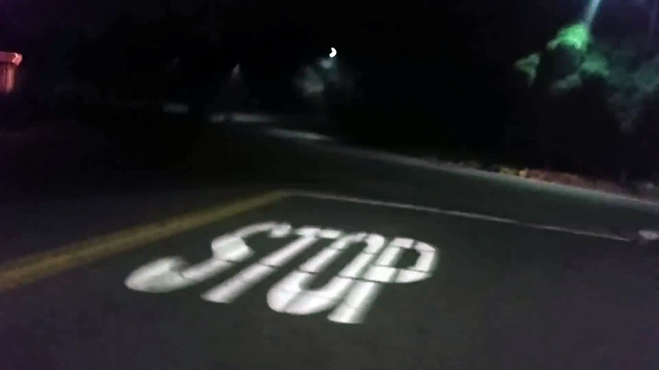 Il sauve un putois sur la route la nuit sans peur de l'odeur !