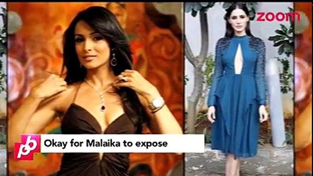 Malaika Arora's Hot Dress Acceptable But Not Nargis Fakhri's_ _ Bollywood Gossip