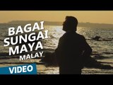 Kabali Malay Songs | Bagai Sungai Maya (Maya Nadhi) | Rajinikanth | Pa Ranjith | Santhosh Narayanan