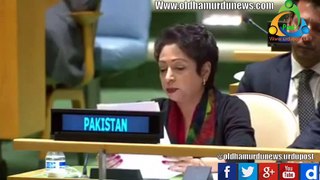 pakistan Reply to India