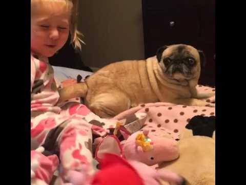Little Girl Can't Contain Her Love for Her Pet Pug