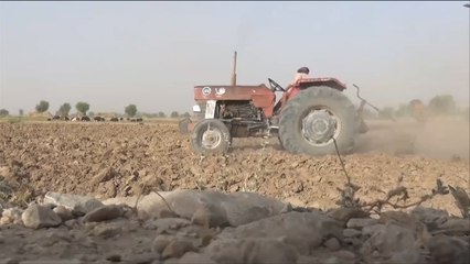 تصحر أراض زراعية بمحافظة مأرب اليمنية