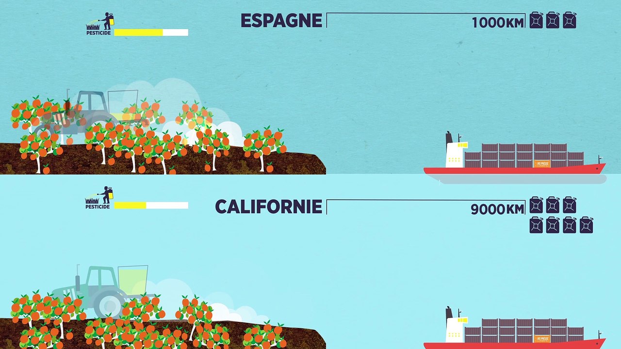 Comprendre la pensée cycle de vie