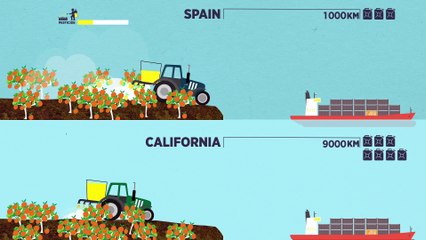 [EN] Understanding Life Cycle Thinking