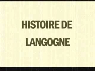 Festiv'allier 2007 (partie 1: histoire de Langogne)