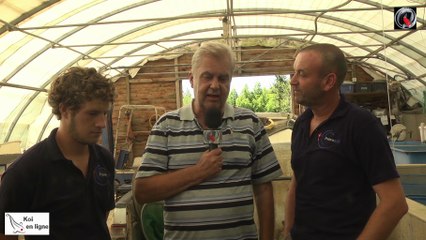 France Koi évolutions inattendues partie 1 de 3