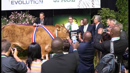 Salon de l’élevage à Rennes : Une participation ivoirienne appréciablen