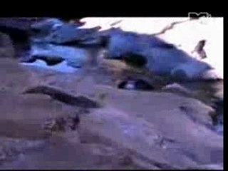 AMERICAN HEAD CHARGE-JUST SO YOU KNOW