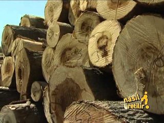 Kurşun Kalemler - Nasıl Üretilir - TRT Okul