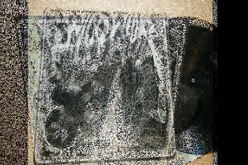 Wild Wind  "I've Tried to Love You" 1974 Miami Latin Funk