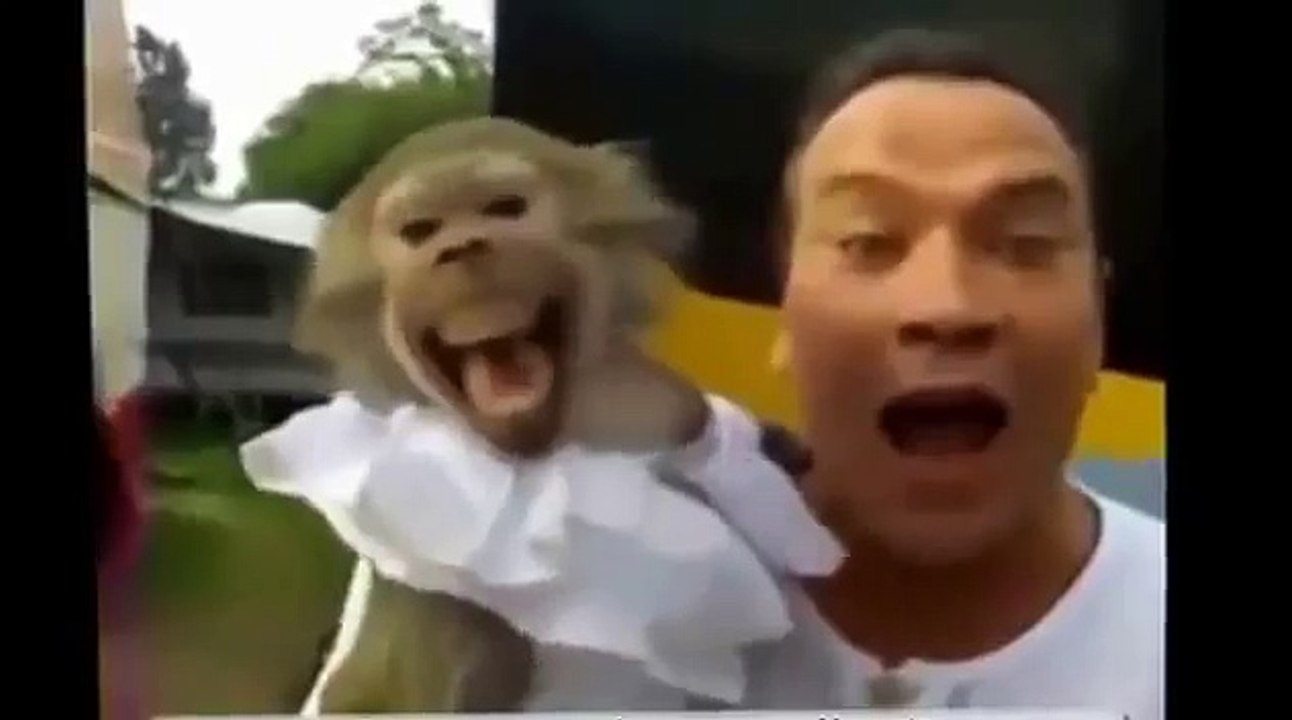 Animals Making Funny Sounds and noises Funny animal Pranks