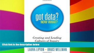 Big Deals  Got Data? Now What?: Creating and Leading Cultures of Inquiry - A practical book for