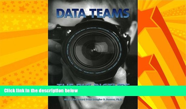 Big Deals Data Teams:: The Big Picture, Looking at Data Teams Through a Collaborative Lens Best