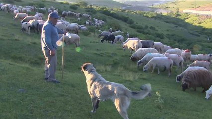 مراسلو الجزيرة- الأنجاد في تركيا والورق التقليدي باليابان