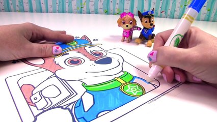 Paw Patrol Chase Crayola Color Wonder Magic Ink Marker Coloring Book Surprise!